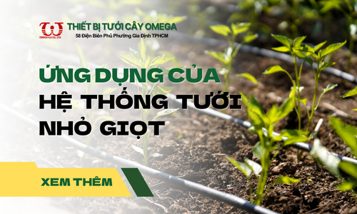 Ứng dụng hệ thống tưới nhỏ giọt