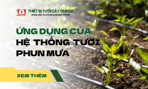 Ứng dụng hệ thống tưới phun mưa