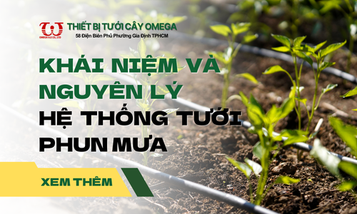 Khái niệm & Nguyên lý hoạt động của hệ thống tưới phun mưa