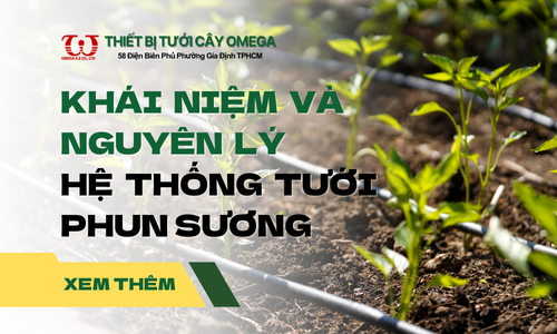 Khái niệm & Nguyên lý hoạt động của hệ thống tưới phun sương