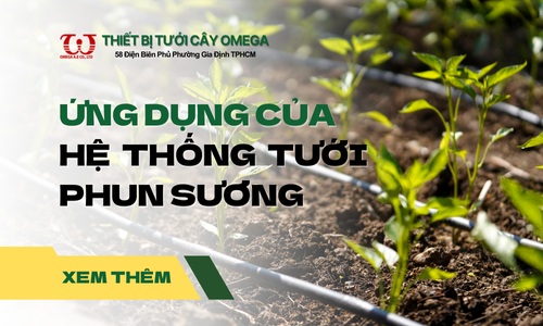 Ứng dụng hệ thống tưới phun sương