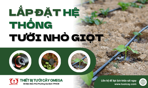 Hướng dẫn lắp đặt hệ thống tưới nhỏ giọt