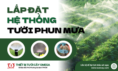 Hướng dẫn lắp đặt hệ thống tưới phun mưa