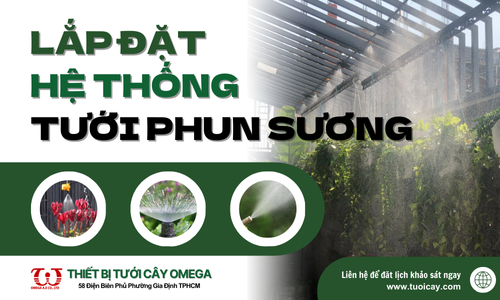 Hướng dẫn lắp đặt hệ thống tưới phun mưa