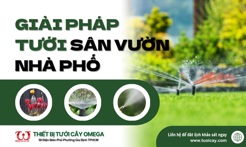 Giải pháp tưới sân vườn nhà phố