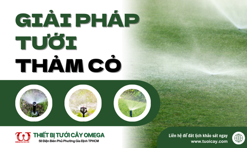 Giải pháp tưới thảm cỏ