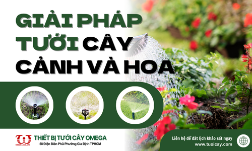 Giải pháp tưới cây cảnh & hoa