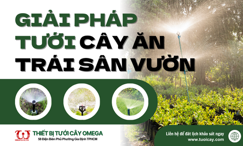 Giải pháp tưới cây ăn trái trong sân vườn