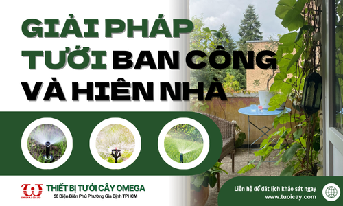 Giải pháp tưới phun sương cho ban công & hiên nhà