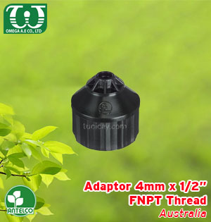 Đế ren trong 21*4mm