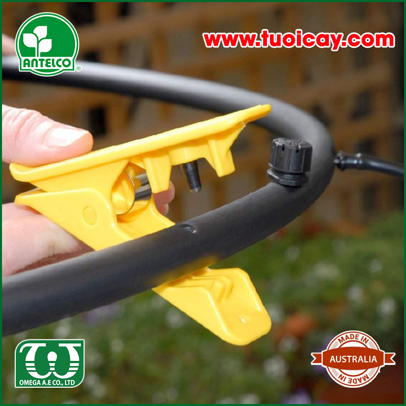 Dụng cụ đục lỗ 4mm – Tube Punch