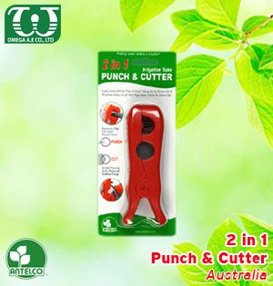 Punch & Cutter