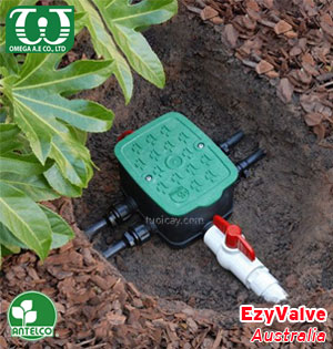 EzyValve