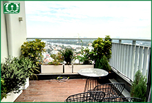 Lắp hệ thống tưới cây tự động Quận 2