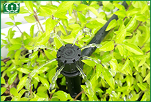 Áp dụng hệ thống tưới tự động cho vườn cây hỗn hợp