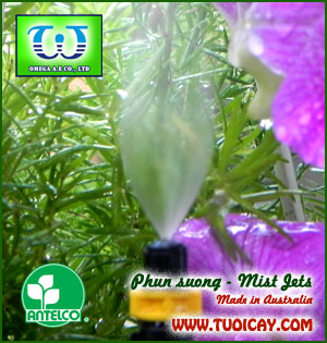 Đầu tưới phun sương Coolnet3