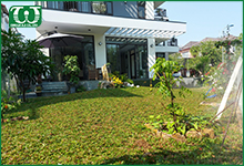 Sử dụng béc tưới cỏ Spray 54505 Orbit cho sân vườn hiệu quả không