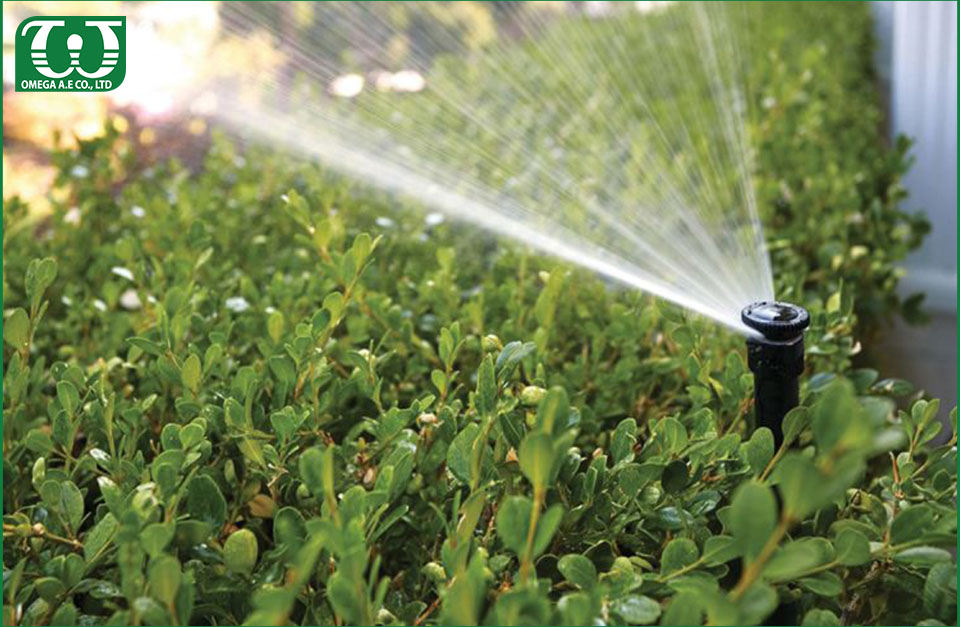 Béc tưới cỏ phun mưa Spray 54505 dùng cho sân Golf