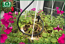 Béc tưới nhỏ giọt Agri Drip cho các chậu cây dạng treo