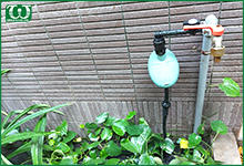 Béc tưới nhỏ giọt bù áp là gì