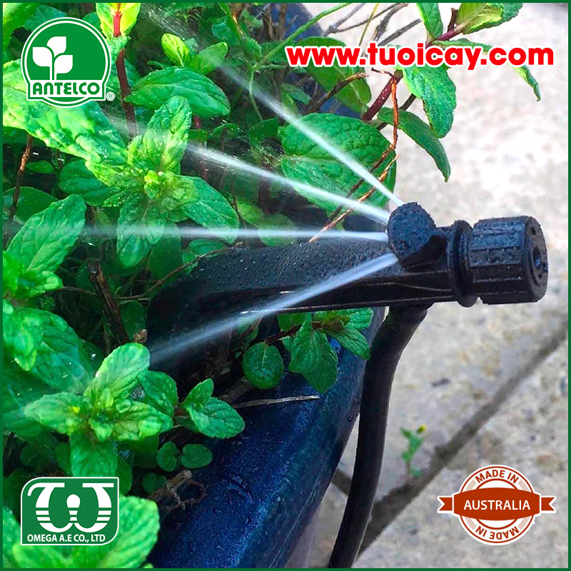 Béc tưới cây 4 tia – Postream2