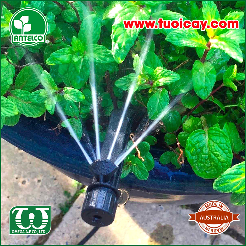 Béc tưới cây 4 tia – Postream3