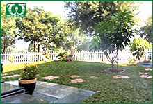 Cách sử dụng béc tưới cỏ phun mưa Rotor 5500 – Orbit sao cho hiệu quả