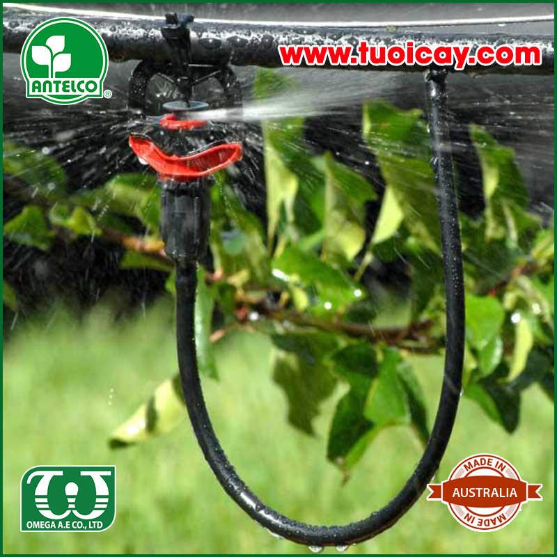 Béc tưới phun mưa Rotor Rain Plus2