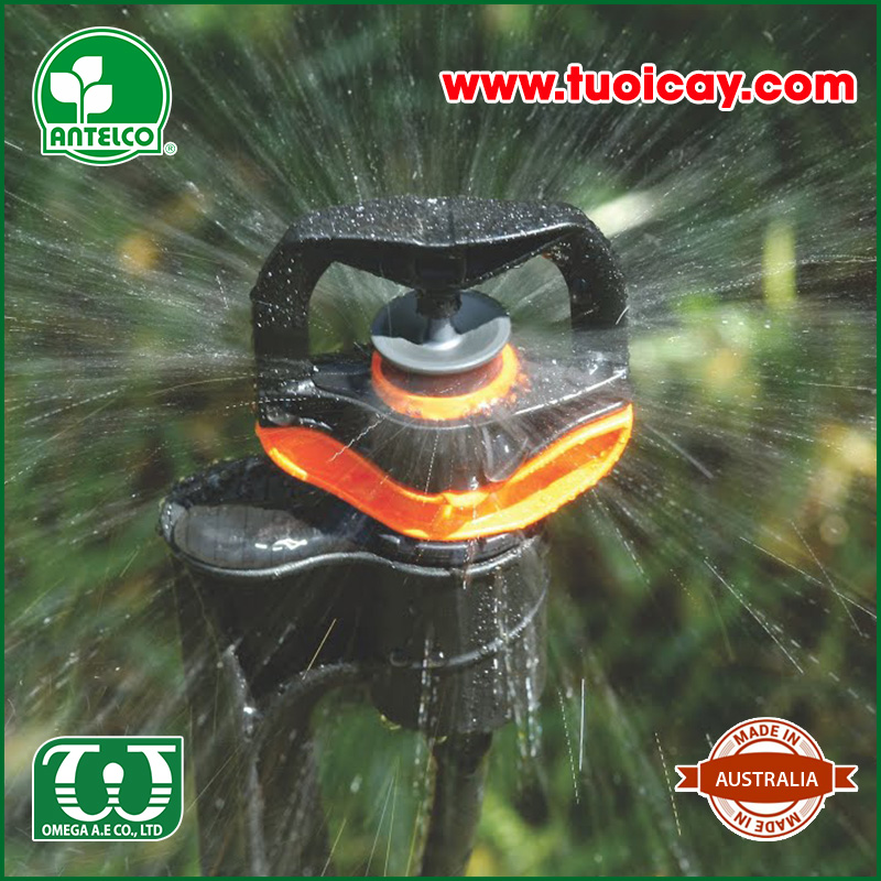 Béc tưới phun mưa Rotor Rain Plus0