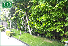 Ứng dụng của béc tưới phun mưa Pop up Spray 54509 – Orbit