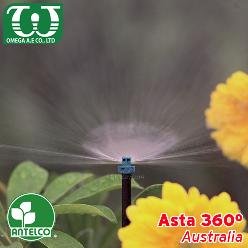 Béc tưới cây 360 Single Piece Jets3