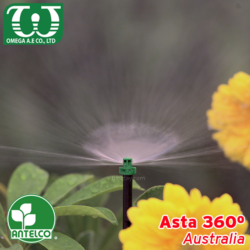 Béc tưới cây 360 Single Piece Jets4