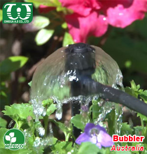 Béc tưới cây sân vườn Bubbler
