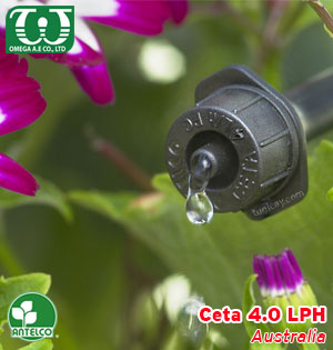Béc tưới cây nhỏ giọt Ceta 4L