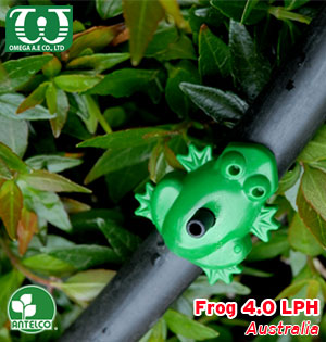 Béc tưới cây nhỏ giọt Frog