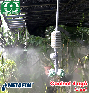Đầu tưới phun sương Coolnet