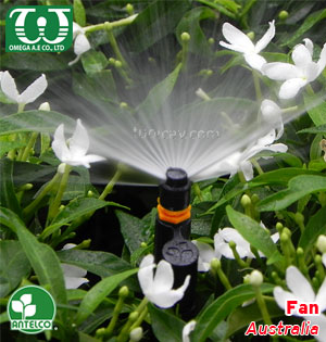 Béc tưới cây sân vườn hình Fan