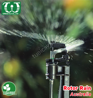 Béc tưới trồng rau Mini Rotor Rain