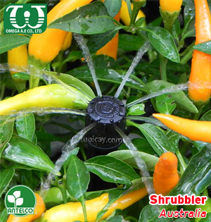 Béc tưới cây sân vườn Shrubbler