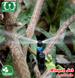 Béc tưới cây sân vườn Winged Jets