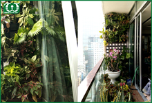 Quy trình thi công hệ thống tưới tự động tường cây Quận 1