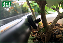 Cách lắp đặt béc tưới cây nhỏ giọt Agri Drip