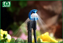 Cách sử dụng hiệu quả béc tưới cây phun mưa Downspray MNPT