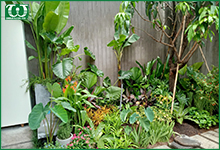 Cần chuẩn bị gì trước khi lắp đặt hệ thống tưới cây cho biệt thự