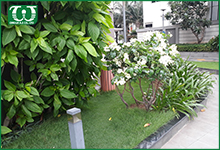 Chăm sóc sân vườn hiệu quả bằng béc tưới cỏ phun mưa Spray