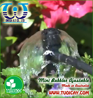 Béc tưới cây sân vườn Bubbler0