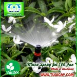 Thumbnail of Béc tưới cây sân vườn hình Fan0