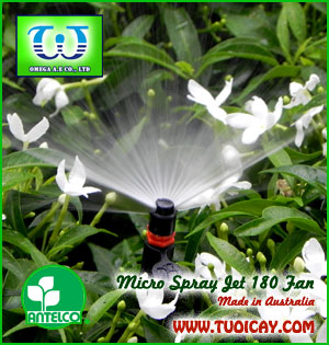 Béc tưới cây sân vườn hình Fan0