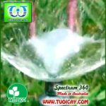 Thumbnail of Béc tưới cây sân vườn Spectrum5