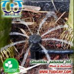 Thumbnail of Béc tưới cây sân vườn Shrubbler3